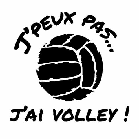 jpeux-pas-jai-volley-640x480-1